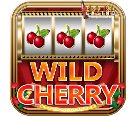 Mga video ng slot machines game.